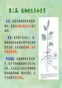 植物细胞信号转导ppt课件