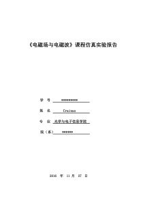 华中科技大学《电磁场与电磁波》课程仿真实验报告