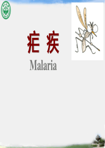 疟疾(精简版)
