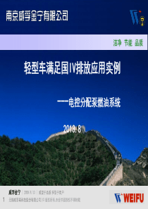 2013.8国IV电控分配泵燃油系统资料