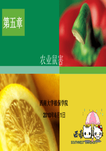 农业鼠害