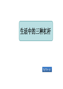 12.1-4-三种杠杆.