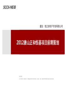 唐山正和恒基项目前期策划158p
