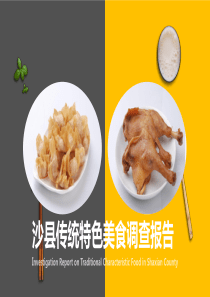 传统特色美食调查报告PPT模板