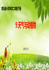 天气与动植物说课稿