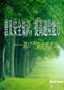 安全教育日主题班会