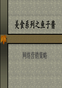 产品推广计划 修订版（PPT 37页）