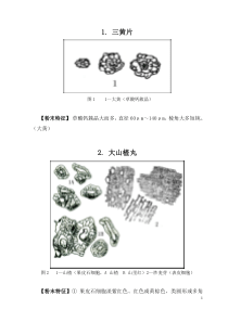 产品显微图（DOC47页）