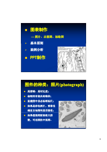 《科研论文写作》-图表与PPT制作-PDF(第五次课)