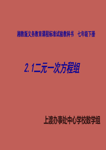 七年级数学下册-2.1二元一次方程组课件-湘教版