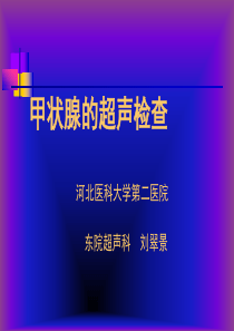 甲状腺超声检查