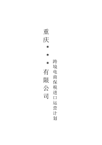 跨境电商保税进口运营计划