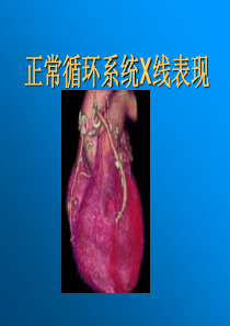 循环系统X线