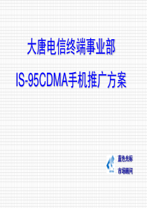 大唐终端事业部IS95CDMA手机推广方案