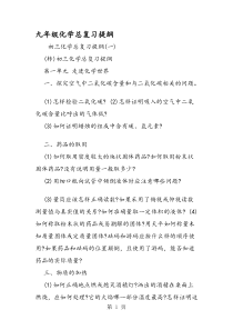 九年级化学总复习提纲