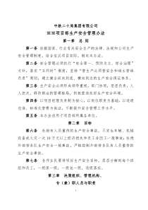 项目安全管理办法模版