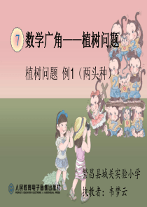 植树问题两端都栽公开课