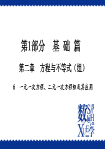 2016中考复习(北师大)--6一元一次方程、二元一次方程组及其应用