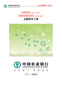 金融服务方案模板
