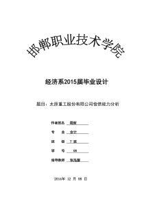 偿债能力分毕业论文