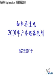 妇科再造丸广告媒体策划(1)