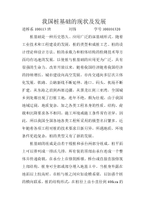 我国桩基础的现状及发展