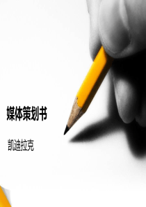 媒体策划书