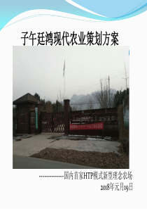 子午延鸿策划方案24日改（PPT67页)