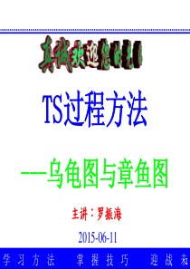TS16949乌龟图与章鱼图培训
