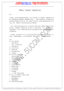 孝顺金三角商业广场策划方案