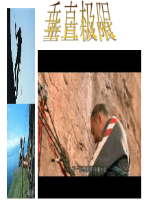 语文七上《生命之线》ppt课件