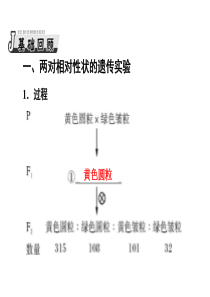 孟德尔的豌豆杂交实验复习课(二)