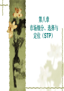 8目标市场营销战略(市场细分、选择与定位)