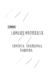 上海网站建设与网络营销策划方案