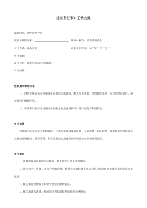 经济责任审计工作方案