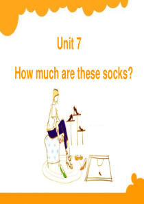 人教版 初中英语 七年级上 unit 7 how much are these socks  一等奖