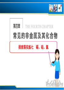 排查落实练7 碳、硅、氯