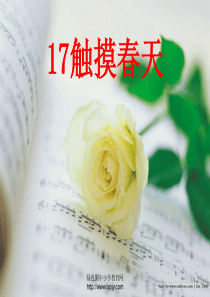 人教版四年级语文下册《触摸春天》课件PPT
