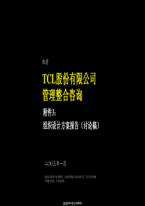 TCL股份有限公司管理整合咨询