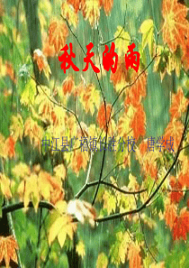 《秋天的雨》ppt