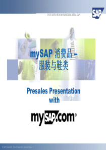 SAP服装行业解决方案(1)
