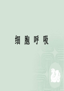高中生物 细胞呼吸