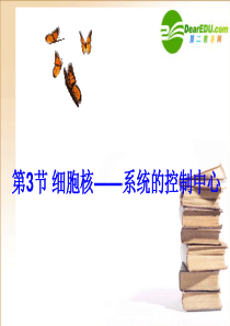高中生物 细胞核优质课课件 新人教版必修1