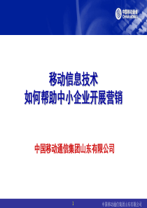 移动信息技术如何帮助中小企业开展营销（PPT  45页）
