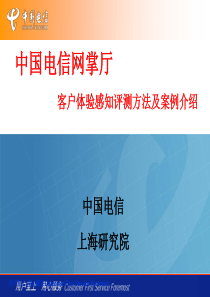 中国电信网掌厅客户体验感知评测方法及案例介绍0412(上海院)