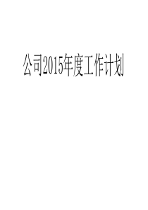 2015年公司年度工作计划