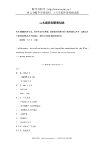 山水湖滨别墅策划案