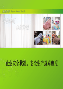 企业安全状况、安全生产规章制度