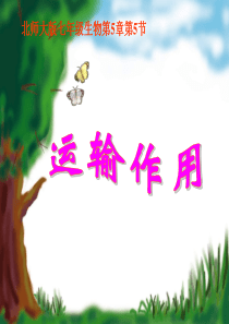 生物：第5章第5节运输作用课件(北师大版七年级上)