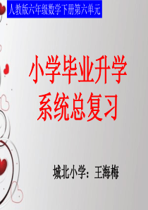 人教版六年级数学下册第六单元第一课时_数的认识(一)_整数的认识.2